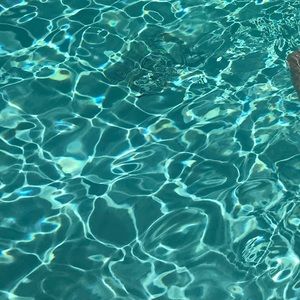 Meet your Posher, Brent